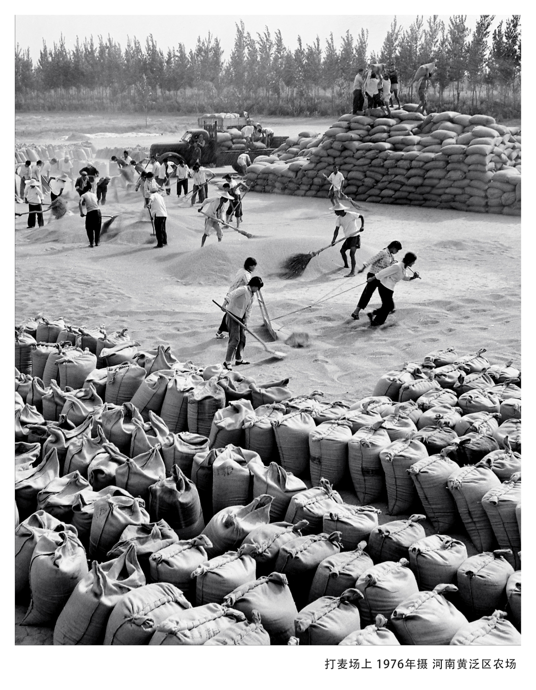 005《打麥場上》1977年入選全國攝影藝術展覽 005《打麥場上》1977年入選全國攝影藝術展覽