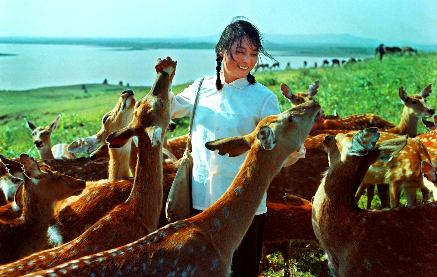 007《精心飼養》獲得全國攝影比賽銅獎 007《精心飼養》獲得全國攝影比賽銅獎