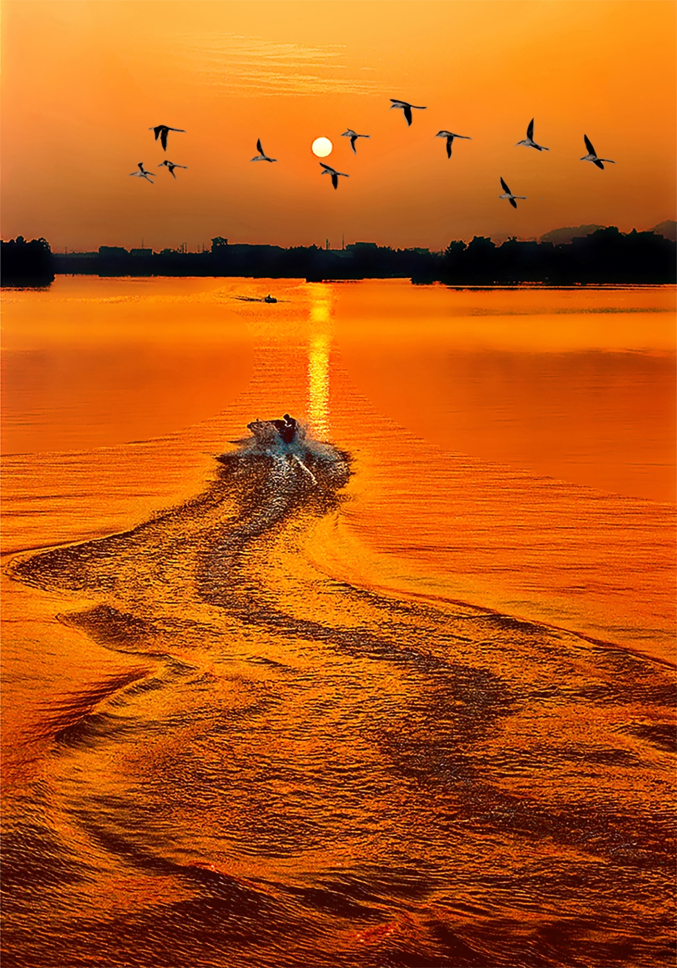 010《追日》2024年在新加坡四地國際攝影巡回展中榮獲金牌 010《追日》2024年在新加坡四地國際攝影巡回展中榮獲金牌